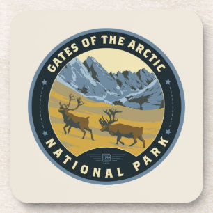 Gates of the Arctic National Park Coaster