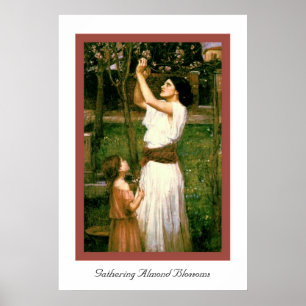 Gathering Almond Blossoms Poster