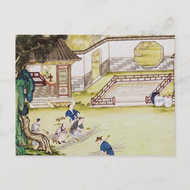 Gathering bamboo to make paper postcard (Front)