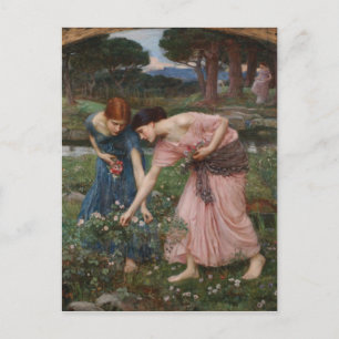Gathering Rosebuds by John William Waterhouse Postcard