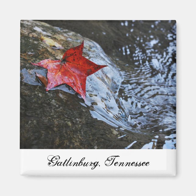 Gatlinburg Leaf Magnet (Front)