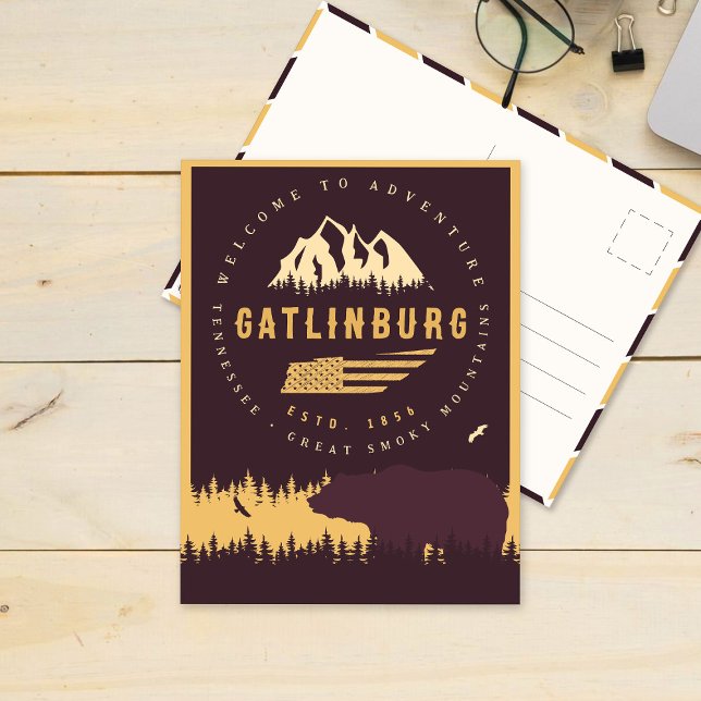 Gatlinburg Tennessee Bear Pine Trees Nature Postcard (Creator Uploaded)
