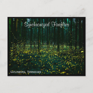 Gatlinburg Tennessee Postcard TN