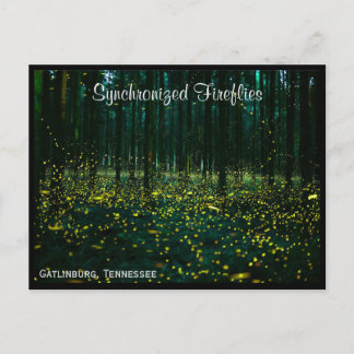 Gatlinburg Tennessee Postcard TN