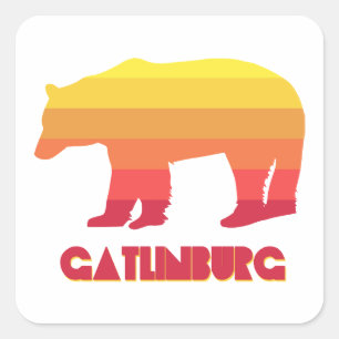 Gatlinburg Tennessee Rainbow Bear Square Sticker
