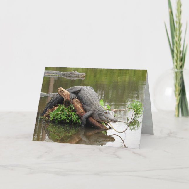 Gator 0076 Greeting Card (Front)