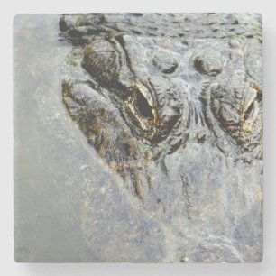 Gator 2 stone coaster