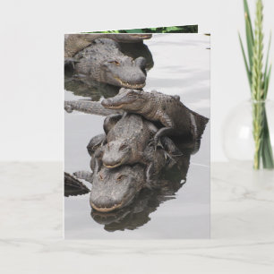 Gator Birthday Party Card