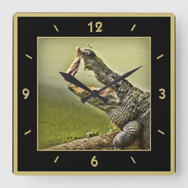 Gator Catching Lunch Action Photography Square Wall Clock (Front)