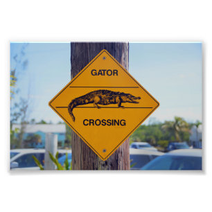 Gator Crossing Sign, Florida Photo Print