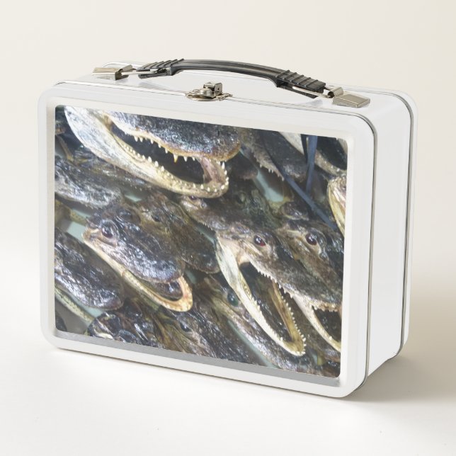 Gator Head Lunch Box (Front)