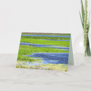 Gator in the Marshlands Folded Card