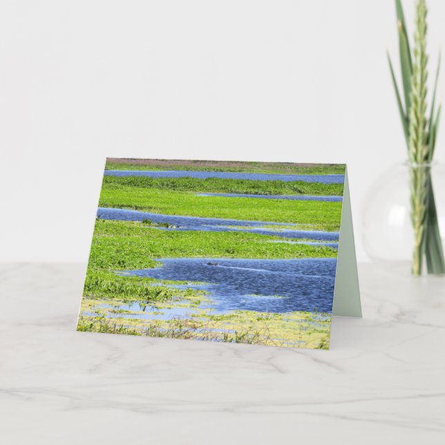 Gator in the Marshlands Folded Card (Front)