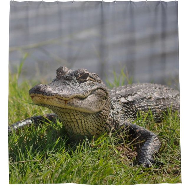 GATOR in the SHOWER Shower Curtain (Front)