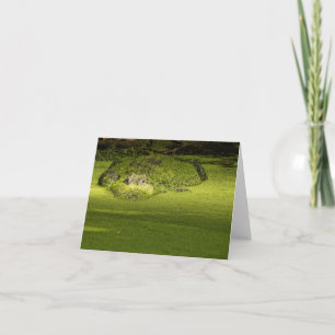Gator Lurking in Duckweed - Nature Photograph Card