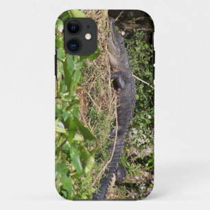 Gator luv zoom pic iPhone 11 case
