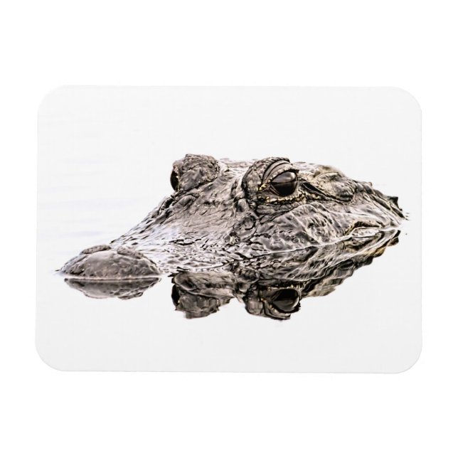 Gator Magnet (Horizontal)