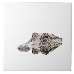 Gator Photo Tile