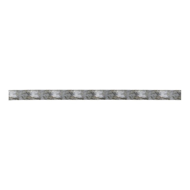Gator Satin Ribbon (Front)