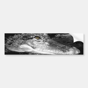 Gator Sticker