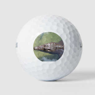 gator swimming golf balls