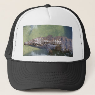 gator swimming trucker hat