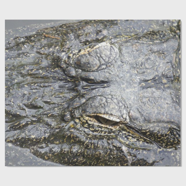Gator Wrapping Paper (Flat)
