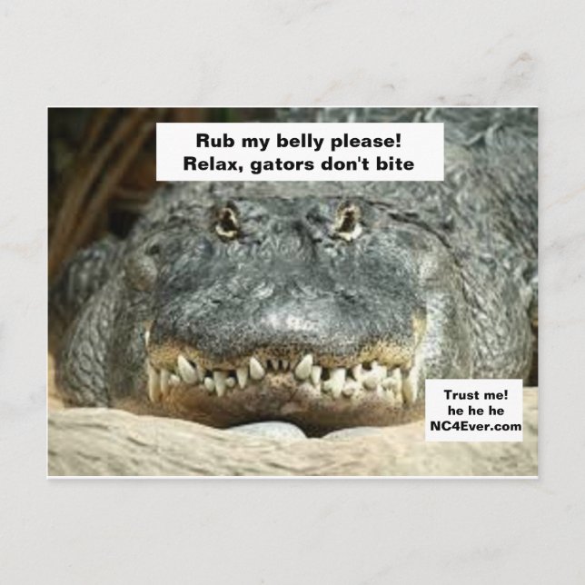 Gators don't bite. Trust Me he he he Postcard (Front)