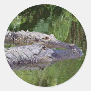 Gators in Love Stickers