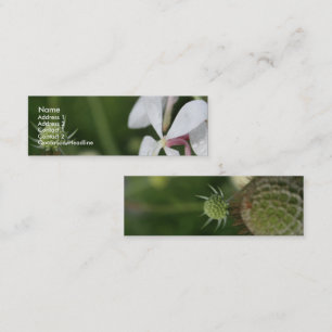 Gaura 2 mini business card