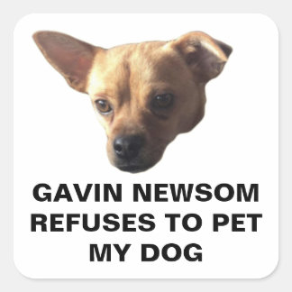 Gavin Newsom Refuses To Pet My Dog Square Sticker