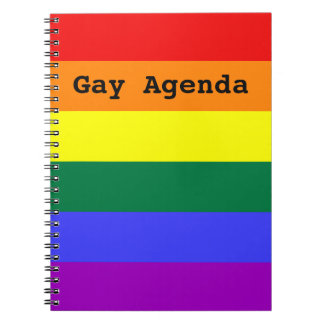 Gay Agenda Rainbow Solid Stripe Notebook