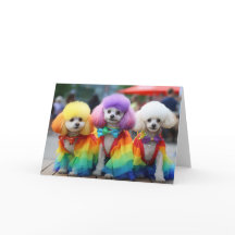 Gay Pride Bichon Frisse dogs