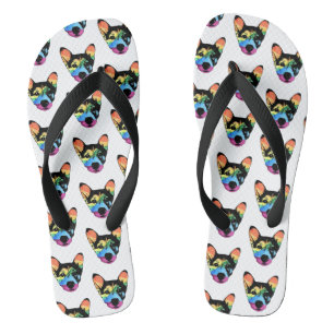 Gay Pride Rainbow Dog Thongs