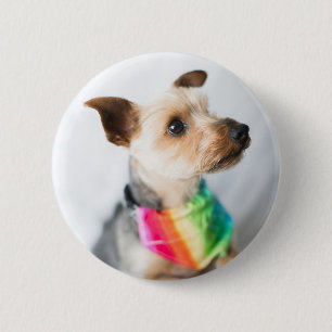 Gay Pride Rainbow Dog   Yorkshire Terrier 6 Cm Round Badge
