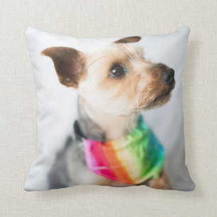 Gay Pride Rainbow Dog Yorkshire Terrier Cushion