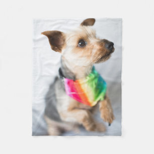 Gay Pride Rainbow Dog Yorkshire Terrier Fleece Blanket
