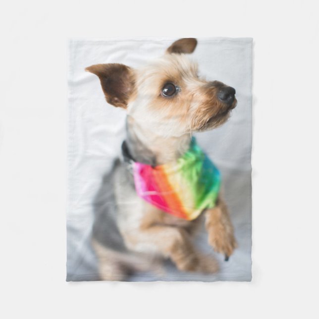 Gay Pride Rainbow Dog | Yorkshire Terrier Fleece Blanket (Front)