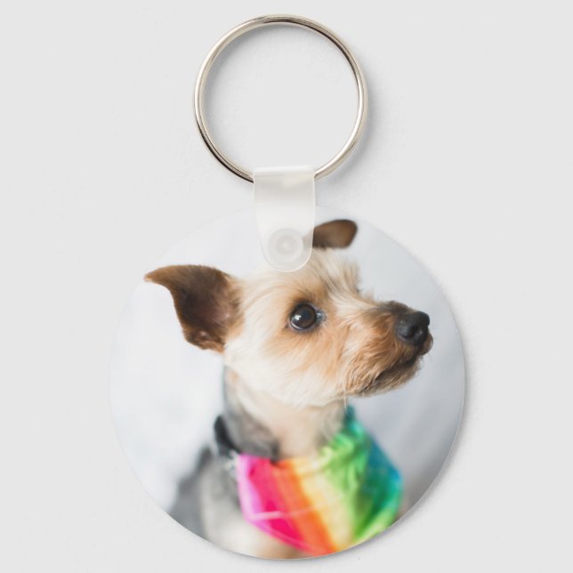 Gay Pride Rainbow Dog | Yorkshire Terrier Key Ring (Front)