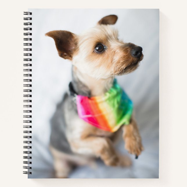 Gay Pride Rainbow Dog | Yorkshire Terrier Notebook (Front)