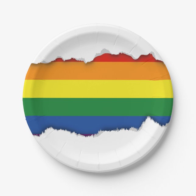 Gay pride Rainbow Flag Paper Plate (Front)