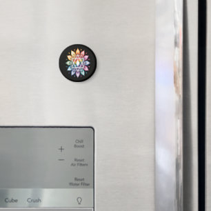 Gay Pride Rainbow LGBT Magnet
