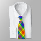Gay Pride Rainbow Plaid Business Work Office