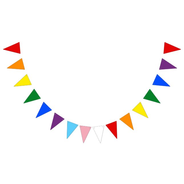 Gay & Trans Pride Pennant Bunting Banner (All)