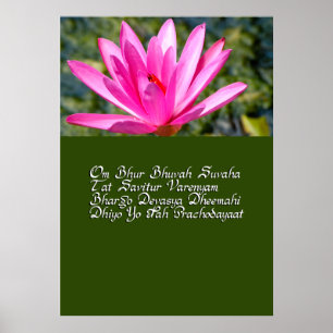 Gayatri mantra poster