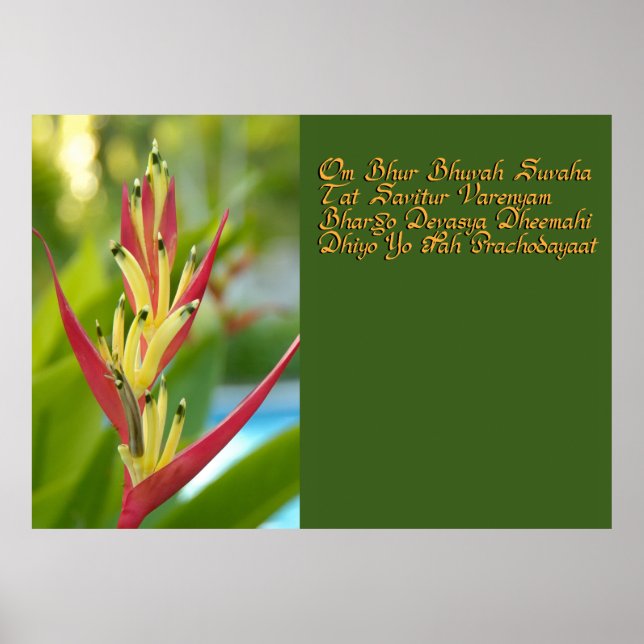 Gayatri mantra poster (Front)