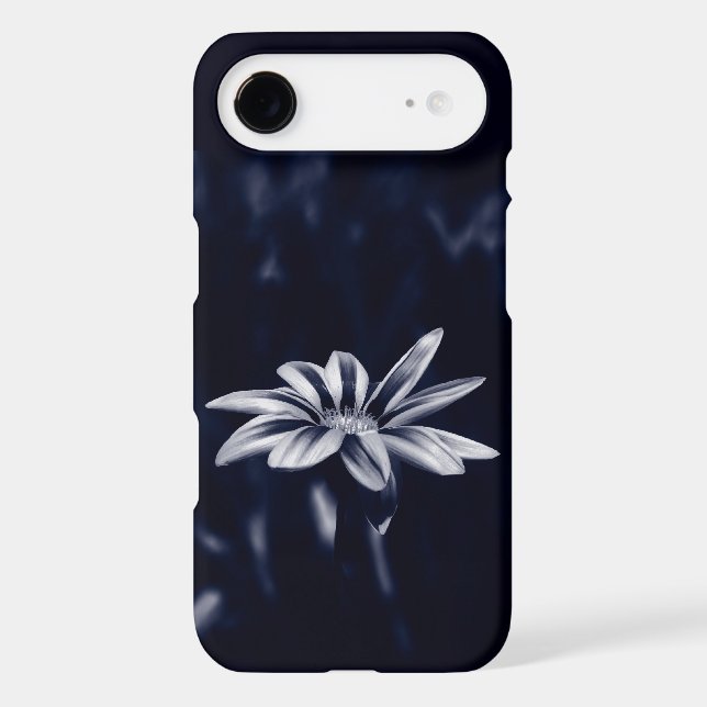 gazania (Back)