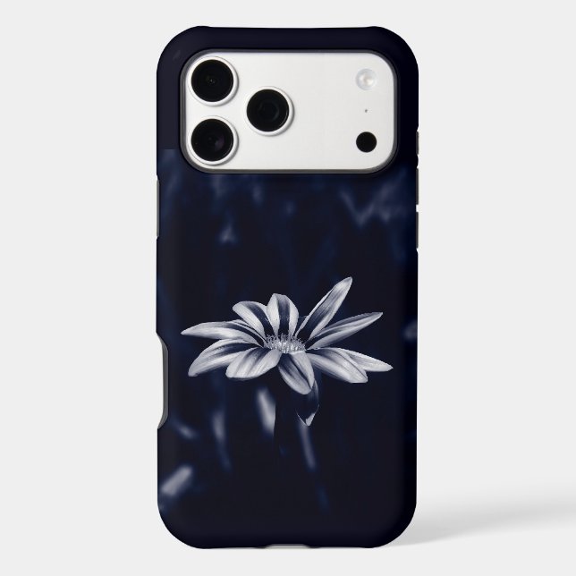 gazania (Back)