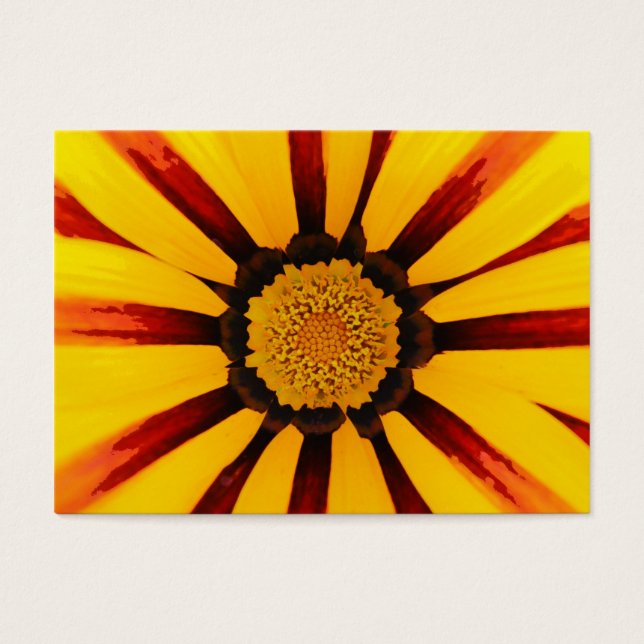Gazania (Front)