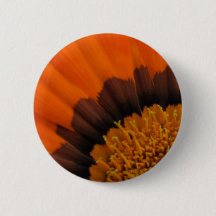 Gazania Button